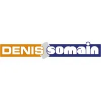 DENIS-SOMAIN logo