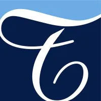 TRANSPERFECT (TRANSPERFECT) logo