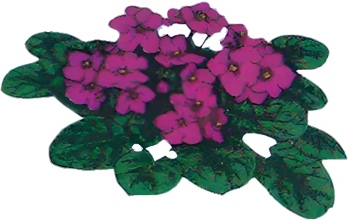 EARL PLANTES ET FLEURS TOURBEZ logo