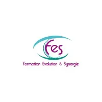 FORMATION EVOLUTION ET SYNERGIE logo
