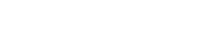 VOINOT T.P. logo