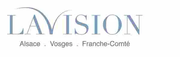 LA VISION SARL logo
