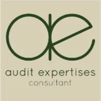 AUDIT EXPERTISES CONSULTANT logo