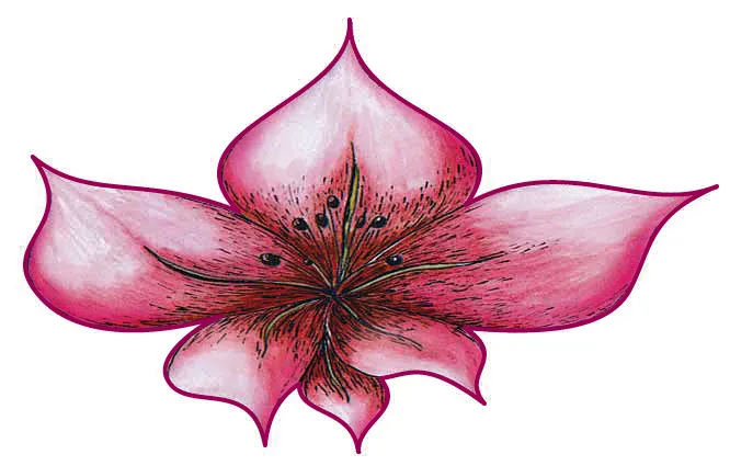 AMARYLLIS logo