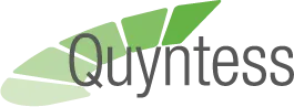 QUYNTESS BV logo