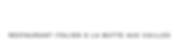 APOLLONIA logo