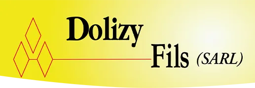 DOLIZY FILS logo