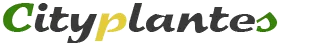 L'OR VERT logo