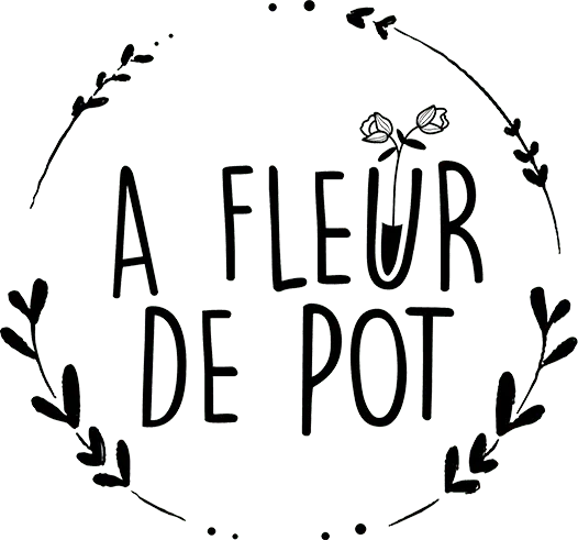 B. LECHAUX, STE EN LIQUIDATION (A FLEUR DE POT) logo