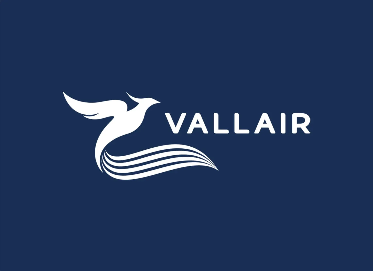 VALLAIR CAPITAL logo