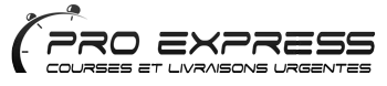 PROFESSIONAL EXPRESS 92 logo