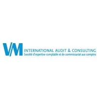 VM INTERNATIONAL AUDIT & CONSULTING logo