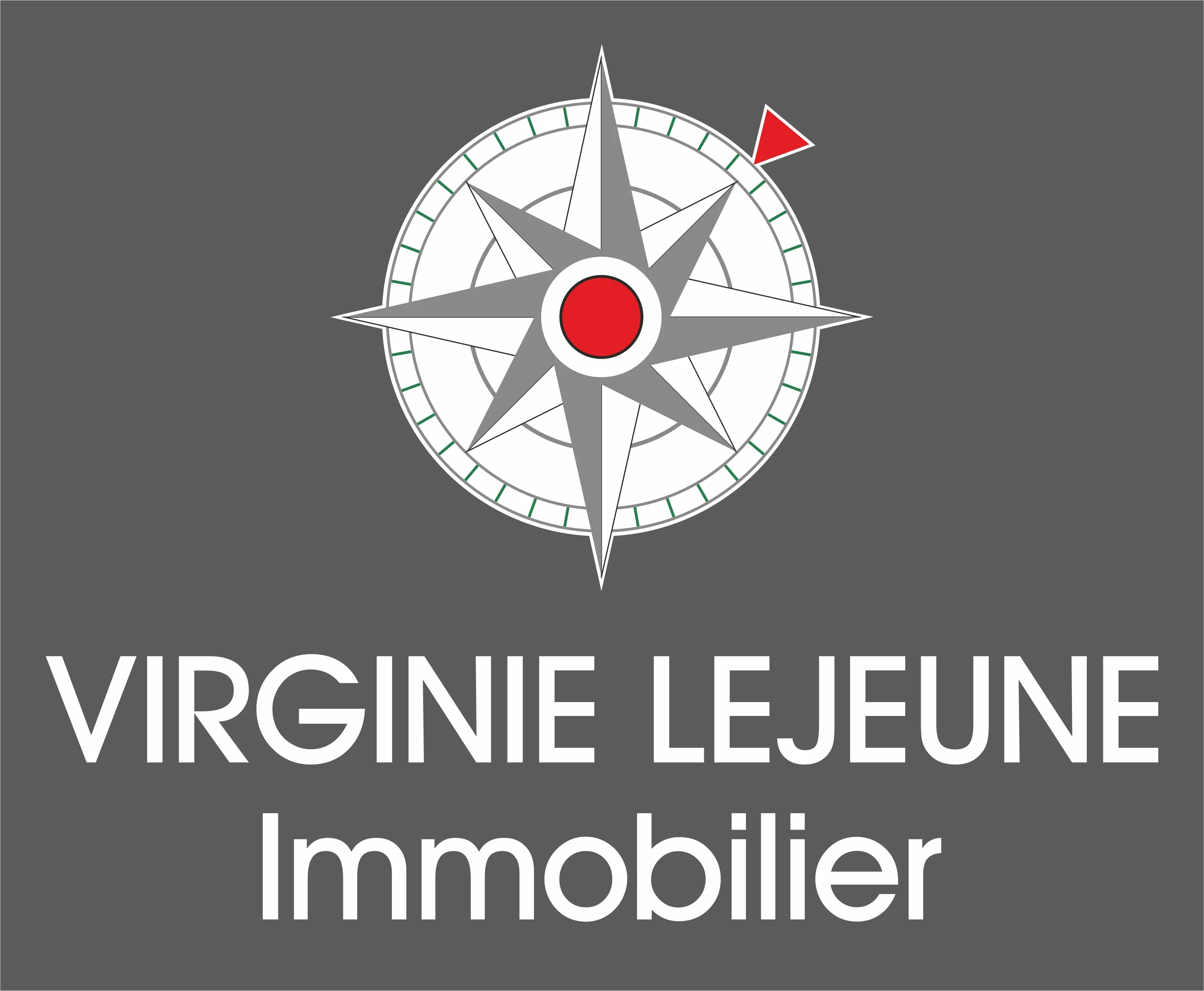 VIRGINIE LEJEUNE IMMOBILIER (VIRGINIE LEJEUNE IMMOBILIER) logo