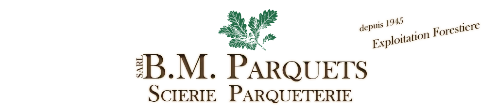 B.M. PARQUETS logo