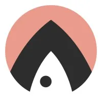 THE SALMON CONSULTING logo
