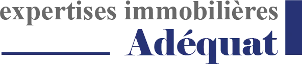 ADEQUAT logo