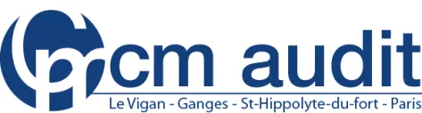 CM AUDIT (CM AUDIT) logo