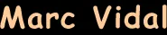 MARC VIDAL logo