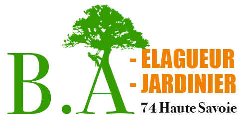 BRUN ANGELINO logo
