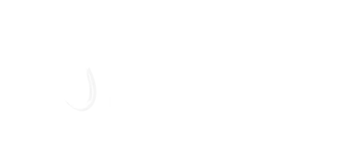 BROCELIANDE INFORMATIQUE ET SERVICES (BROCELIANDE) logo