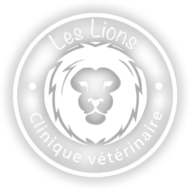 SELARL LES LIONS logo