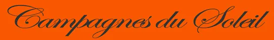 DESSOY CONSEIL SERVICES logo