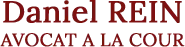 REIN DANIEL logo