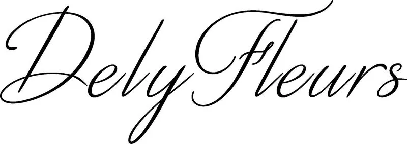 JILEYES logo