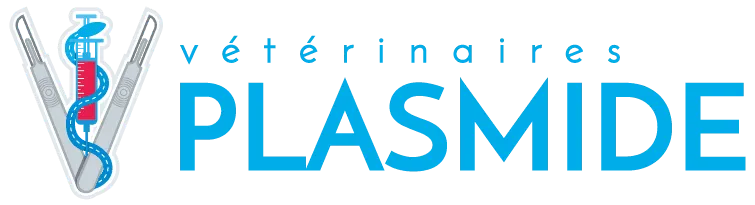 PLASMIDE logo