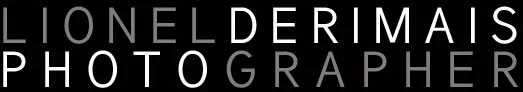 DERIMAIS LIONEL logo