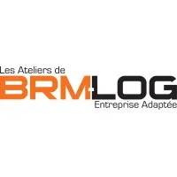 BRM LOG logo