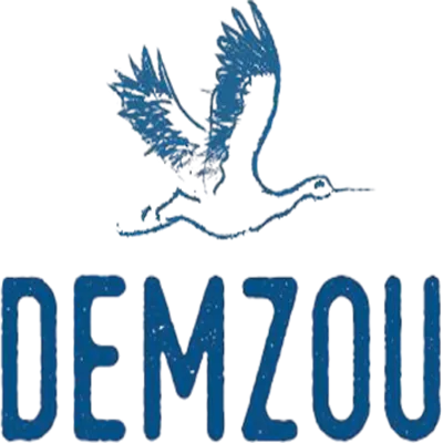 Voici le logo de la marque DEMZOU qui représente son identité graphique.