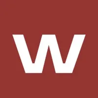 WHYSOFT GROUP (WSG) logo