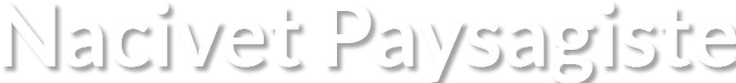 NACIVET VINCENT (NACIVET VINCENT SERVICES) logo