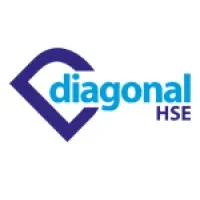 DIAGONALE CONSEIL logo