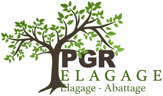 REINARD JEAN logo