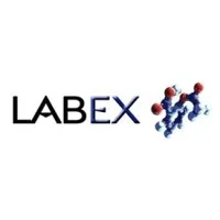 LABEX logo