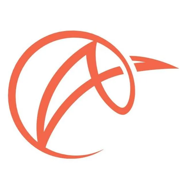 AEROLITHE CONSULTANT