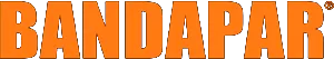 VLY (BANDAPAR) logo