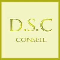 DSC CONSEIL logo