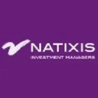 NATIXIS INVESTMENT MANAGERS (NGAM) logo