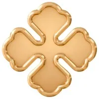 CAMUS HOLDINGS logo
