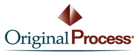 ETS JM DELPORTE-ORIGINAL PROCESS logo