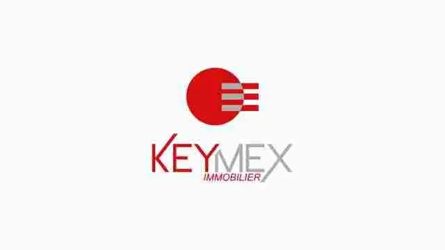 CONSEIL IMMOBILIER logo