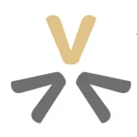 VALUEGO CONSULTING logo