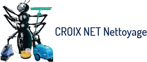 CROIX NET logo