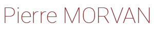 SELARL DOCTEUR PIERRE MORVAN logo