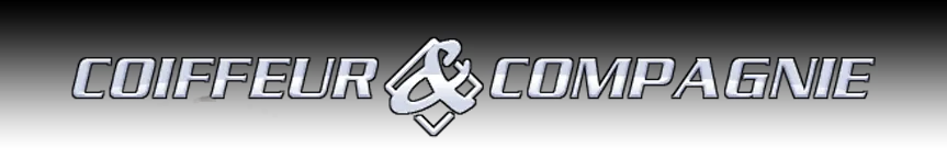 HOLDEX logo