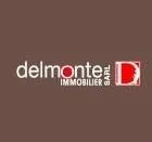 DELMONTE IMMOBILIER logo