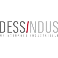 DESSINDUS logo